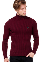 CP176 Men's Pullover